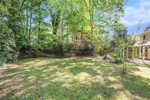 view of yard