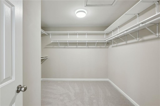 spacious closet featuring light colored carpet