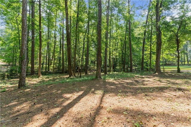 220 Hollyridge Dr, Roswell, GA 30076 - view of nature
