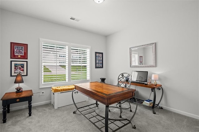 777 Tucker Trl, Bremen, GA 30110 - office area featuring carpet floors and baseboards