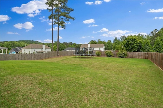 777 Tucker Trl, Bremen, GA 30110 - view of yard featuring a trampoline