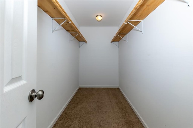 spacious closet featuring carpet floors