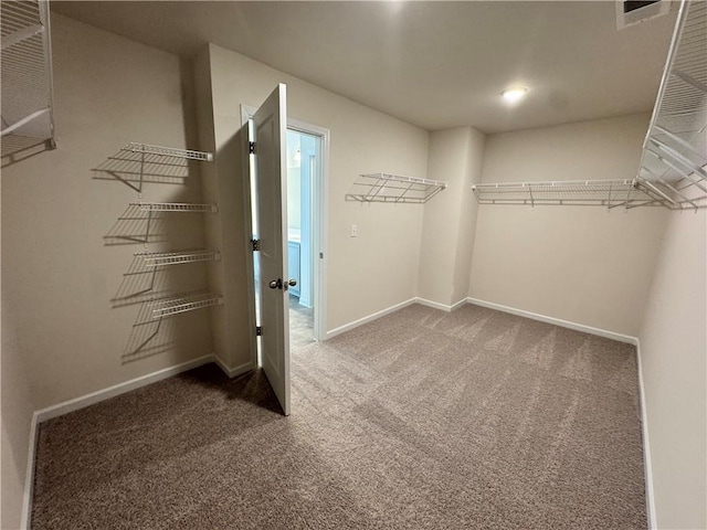 4005 Riverchess Dr SW, Atlanta, GA 30331 - walk in closet with carpet floors