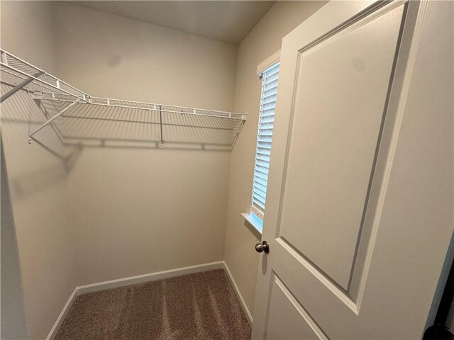 4005 Riverchess Dr SW, Atlanta, GA 30331 - spacious closet featuring carpet flooring