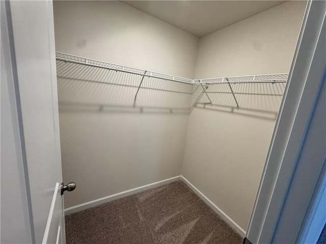 4005 Riverchess Dr SW, Atlanta, GA 30331 - walk in closet with carpet flooring