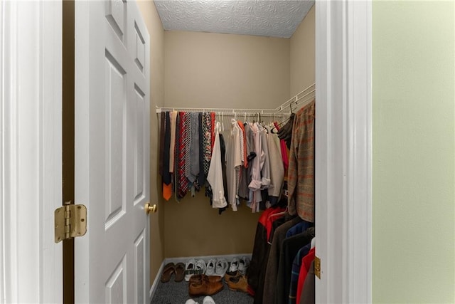 view of walk in closet