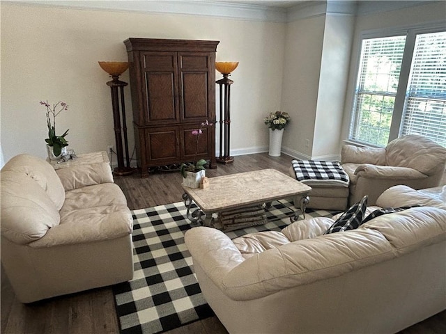 living room featuring crown molding and dark wood-type flooring