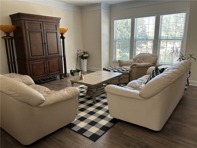 living room featuring dark wood-type flooring and ornamental molding