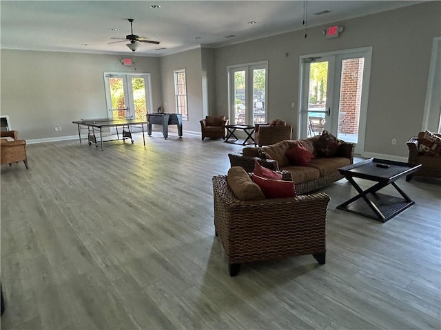 living room featuring hardwood / wood-style floors, a wealth of natural light, and french doors