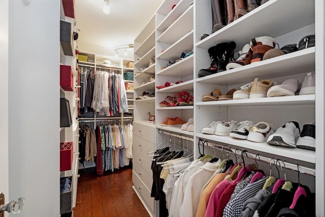 spacious closet featuring wood finished floors