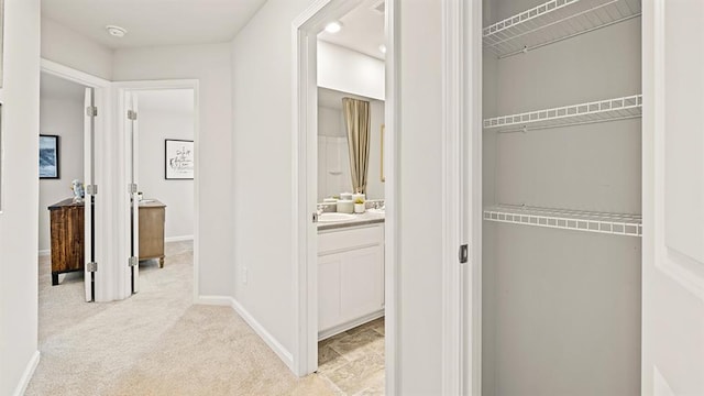 interior space with light colored carpet and sink