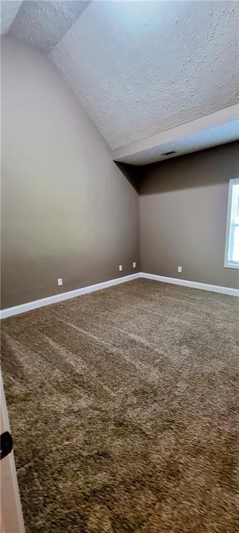 interior space with lofted ceiling, carpet, and a textured ceiling