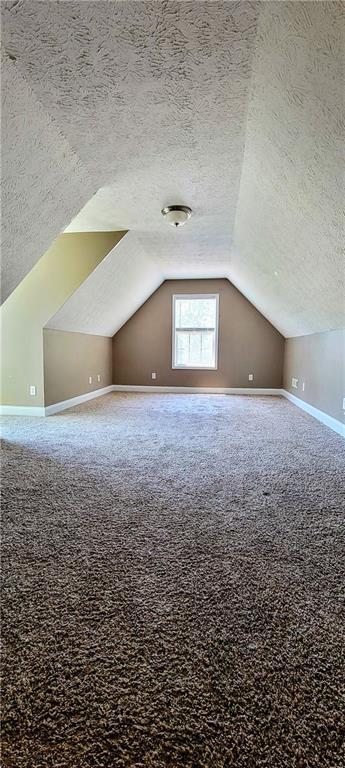 bonus room featuring vaulted ceiling, carpet, and a textured ceiling