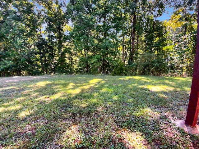 view of yard featuring a forest view