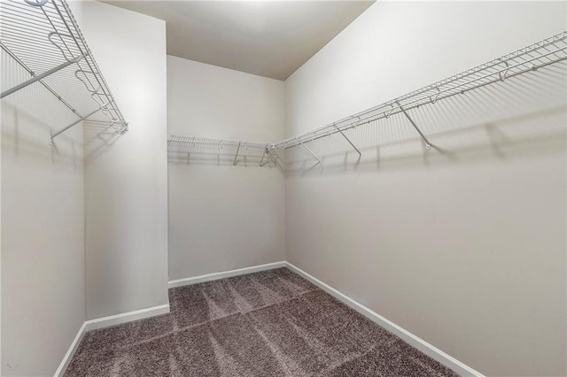 spacious closet with dark carpet