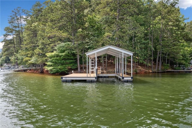 307 Little Hickory Ln, Woodstock, GA 30189 - dock with a water view and a view of trees