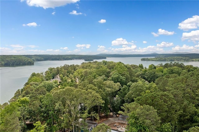 307 Little Hickory Ln, Woodstock, GA 30189 - drone / aerial view of a heavily wooded area and a nearby body of water