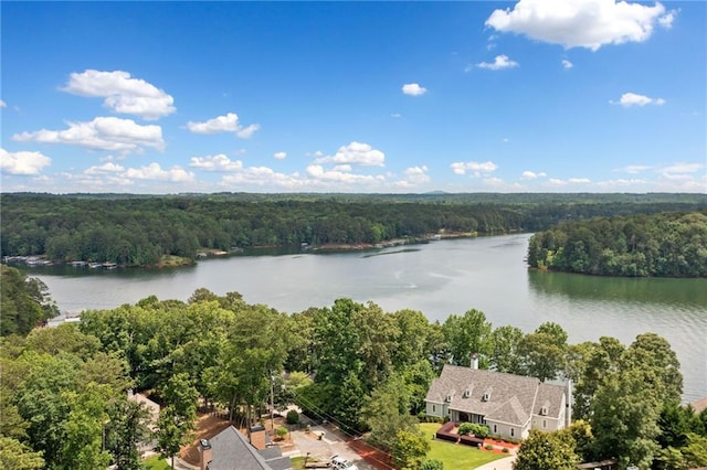 307 Little Hickory Ln, Woodstock, GA 30189 - aerial view of property and surrounding area featuring a nearby body of water