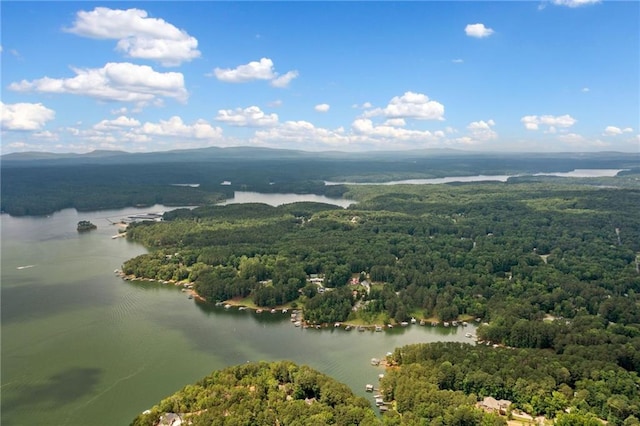 307 Little Hickory Ln, Woodstock, GA 30189 - aerial view of a heavily wooded area and a water and mountain view