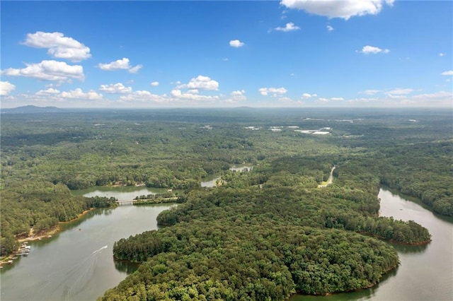307 Little Hickory Ln, Woodstock, GA 30189 - aerial view of a nearby body of water