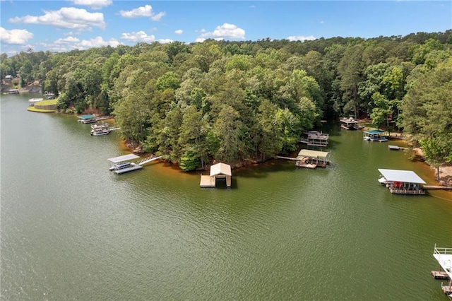 307 Little Hickory Ln, Woodstock, GA 30189 - bird's eye view of a nearby body of water and a heavily wooded area