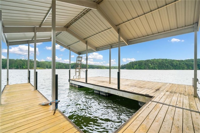 307 Little Hickory Ln, Woodstock, GA 30189 - dock featuring a water view