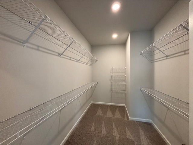 walk in closet with dark colored carpet