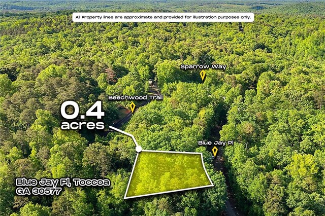 0 Blue Jay Pl, Toccoa, GA 30577