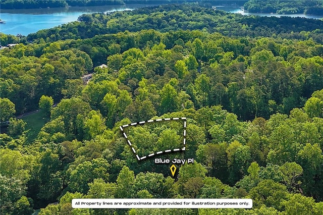 0 Blue Jay Pl, Toccoa, GA 30577