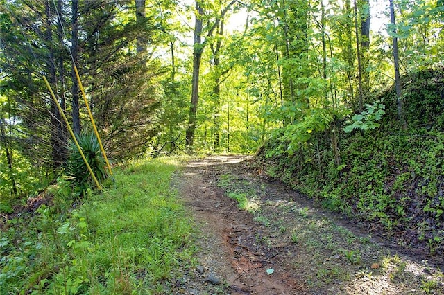 0 Blue Jay Pl, Toccoa, GA 30577