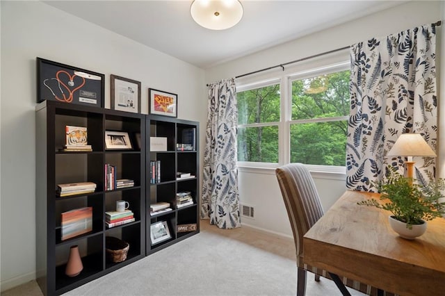 367 Windflower Dr, Big Canoe, GA 30143 - office area featuring carpet flooring