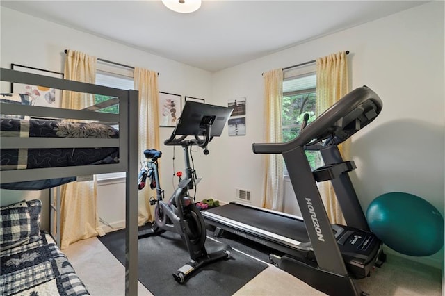 367 Windflower Dr, Big Canoe, GA 30143 - workout room featuring carpet