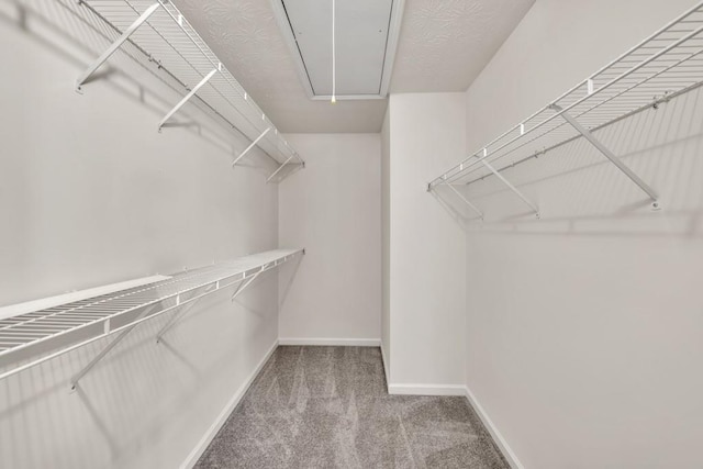 walk in closet with carpet flooring and attic access