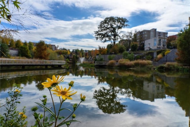 567 Ponce De Leon Ave NE Unit 321, Atlanta, GA 30308 - water view