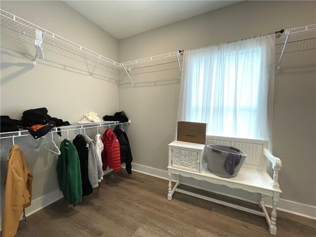 spacious closet with wood-type flooring