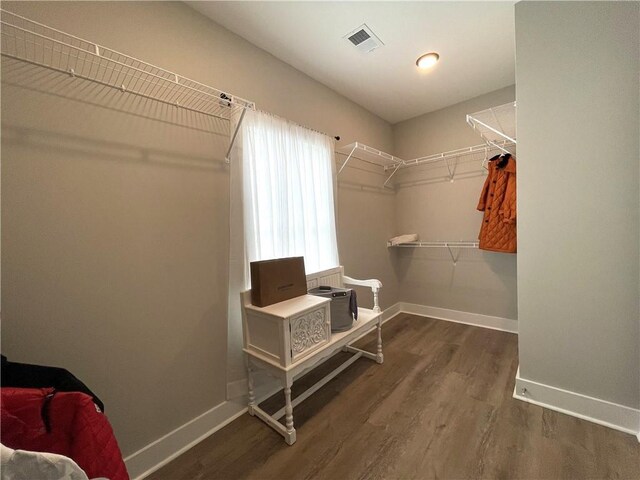 walk in closet featuring dark hardwood / wood-style flooring