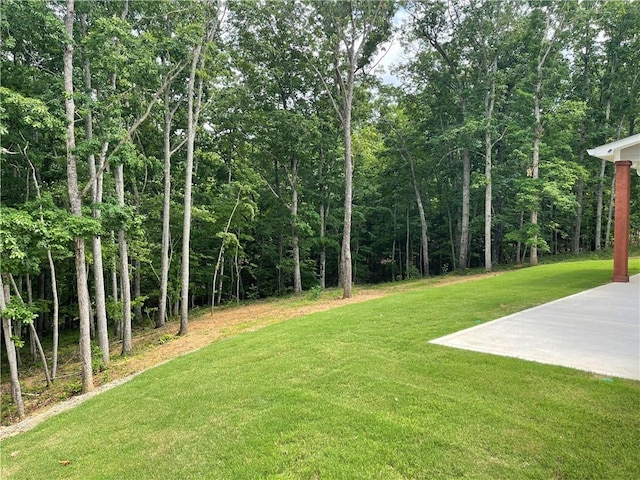 520 Stoneledge Dr, Jasper, GA 30143 - view of yard