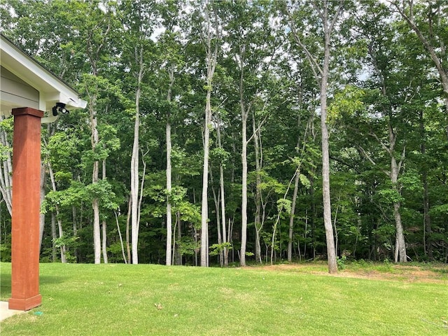 520 Stoneledge Dr, Jasper, GA 30143 - view of yard
