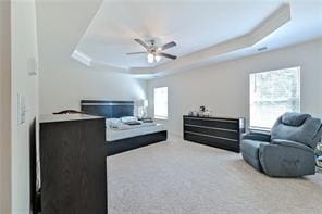 carpeted bedroom featuring a tray ceiling