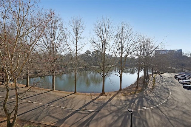 view of water feature