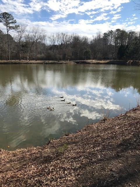 1800 Clairmont Lk Unit 326, Decatur, GA 30033 - view of water feature with a view of trees