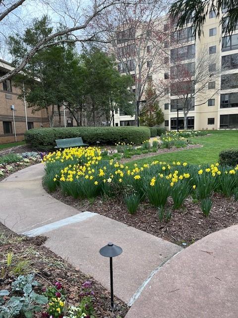 1800 Clairmont Lk Unit 326, Decatur, GA 30033 - view of community