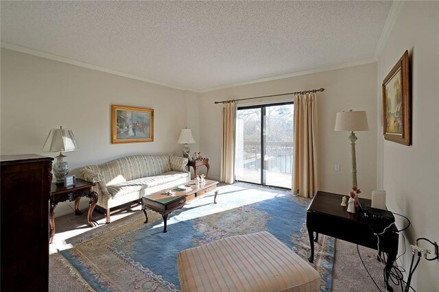 1800 Clairmont Lk Unit 326, Decatur, GA 30033 - living room featuring a textured ceiling, carpet, and ornamental molding