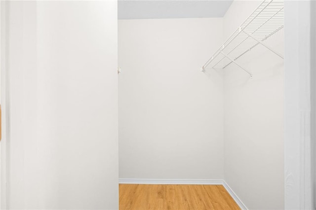 walk in closet featuring light wood-type flooring