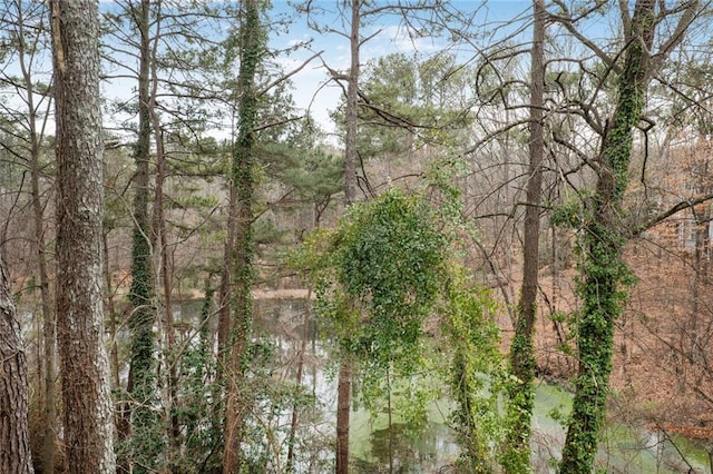 view of landscape featuring a forest view