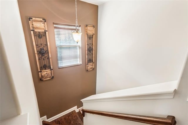 stairs featuring hardwood / wood-style flooring