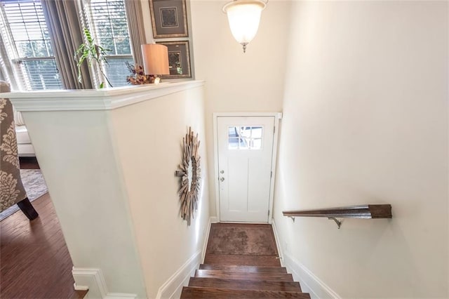 stairway with hardwood / wood-style floors