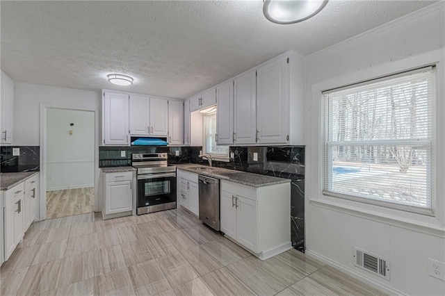 7020 Camp Valley Rd, Riverdale, GA 30296 - kitchen with visible vents, a sink, a wealth of natural light, and stainless steel appliances