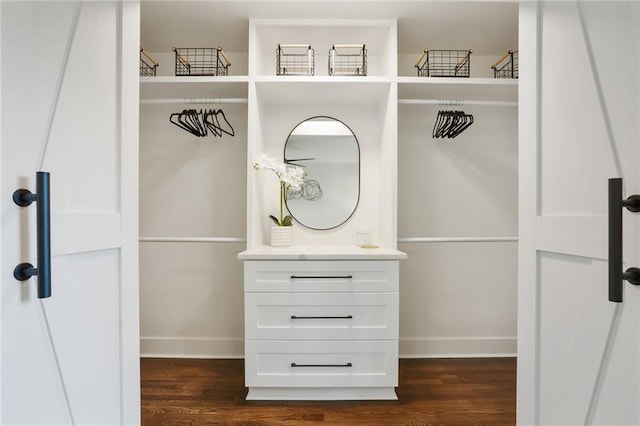 spacious closet featuring dark wood-style floors