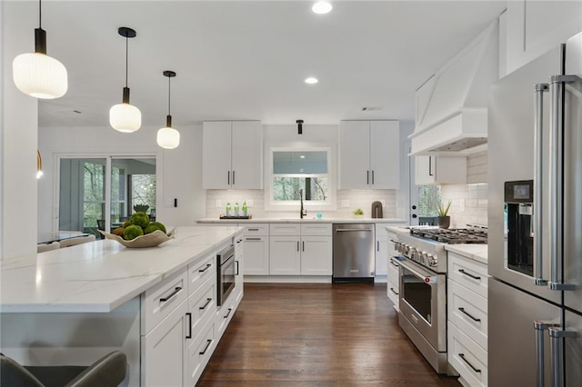 kitchen featuring decorative backsplash, high end appliances, dark wood-style flooring, premium range hood, and a sink